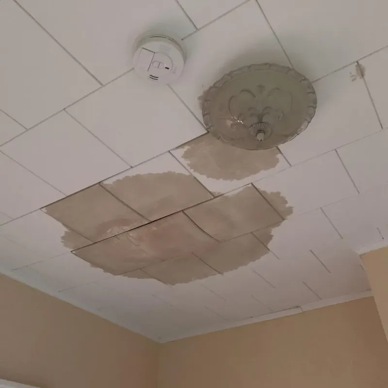 Ceiling Water Damage Repair in Palm River-Clair Mel, FL
