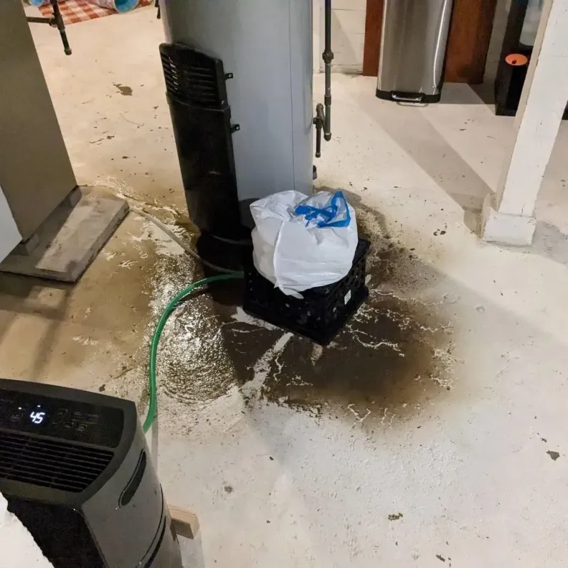 Sewage Backup Cleanup Service in Palm River-Clair Mel, FL